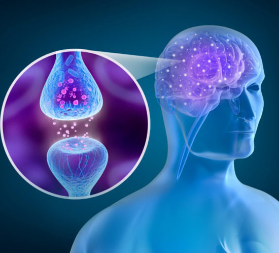El cerebro de algunos seniors permanece joven más tiempo