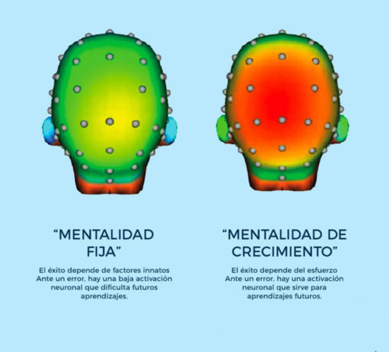 ¿Qué le pasa a tu cerebro cuando te equivocas?