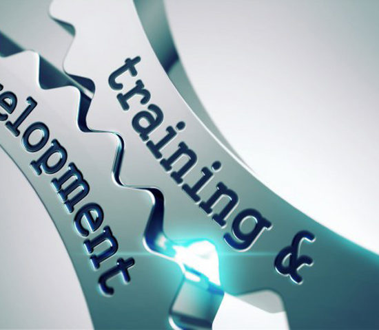 Competencias Profesionales: 12 reflexiones