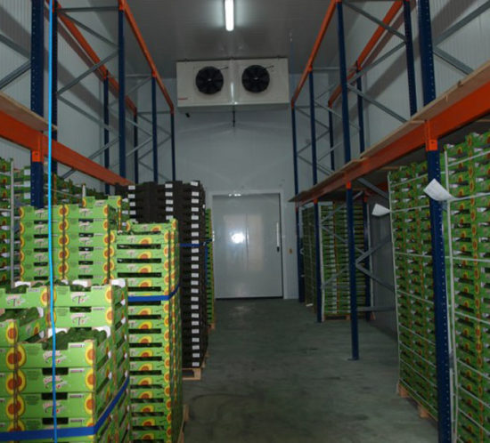 Un trabajador muere asfixiado en una cámara de un almacén de frutas