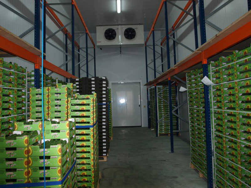 Un trabajador muere asfixiado en una cámara de un almacén de frutas