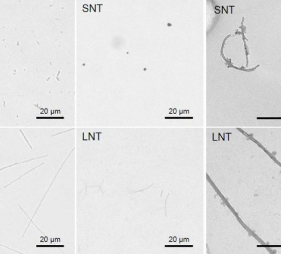 Los nanotubos de carbono largos son tan cancerígenos como el amianto