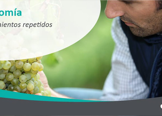 Movimientos Repetidos en el ámbito laboral