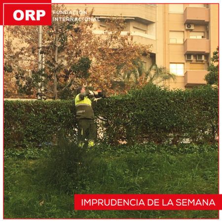 Jardinería derechos trabajadores