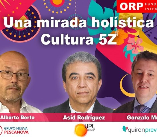 empresas con cultura 5Z