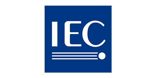 International Electrotechnical Commission (IEC)