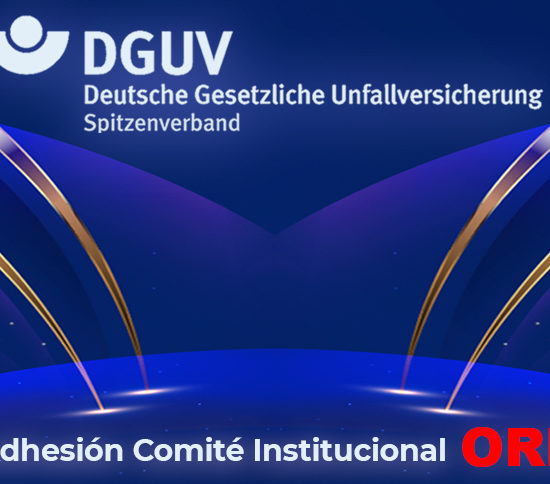 dguv miembro comité institucional FIORP